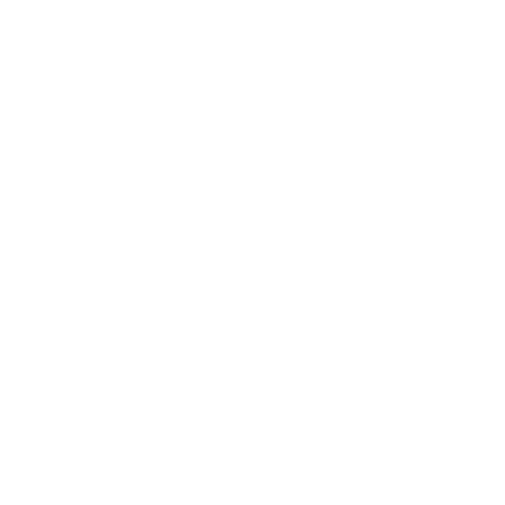 Ciudad Histórica León